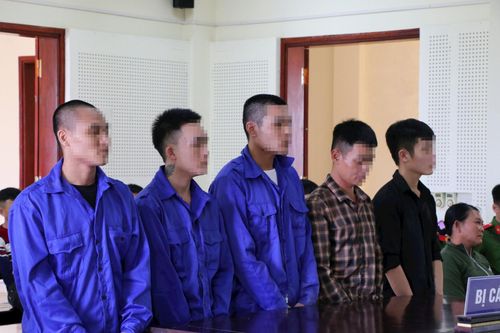 Ngụy trang ma túy trong bắp cải để qua mắt Công an