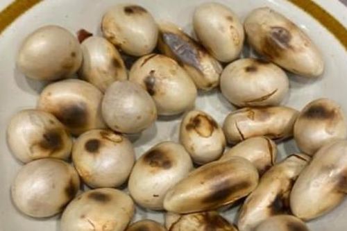 Tác dụng ít người biết của hạt mít