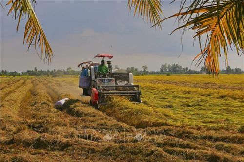 Bước chuyển đổi từ tư duy sản xuất nông nghiệp sang tư duy kinh tế nông nghiệp