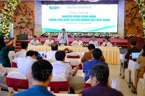 Khuyến nông cộng đồng để sản xuất cà phê không gây mất rừng
