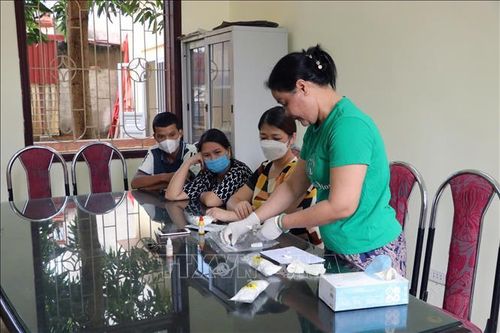 Xử phạt Nhóm Tự lực Bông Hồng Đen tự ý lấy máu của học sinh để xét nghiệm