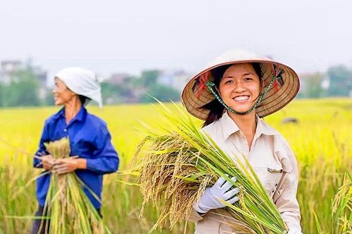 Cổ phiếu nông nghiệp hết dư địa 'vụt sáng'?