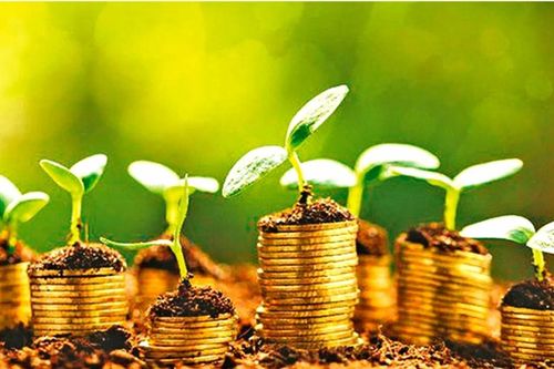 Tài chính xanh: Cơ hội phát triển xanh