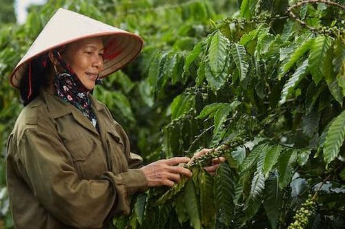 Năng lực cạnh tranh mới của doanh nghiệp, quốc gia