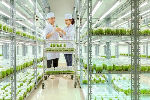 'Đổi mới nhận thức và hành động để khoa học và công nghệ thực sự là khâu đột phá' (Bài 2): 'Hàm lượng khoa học' vẫn còn... khiêm tốn!