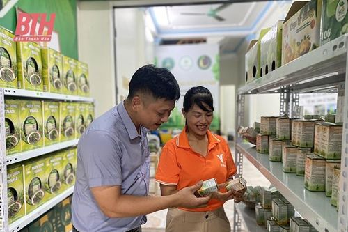 'Bà đỡ' cho phát triển kinh tế HTX