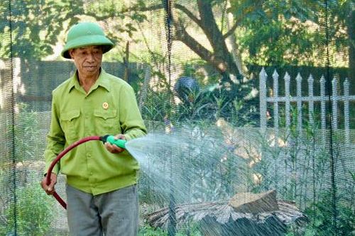 Cựu chiến binh vượt khó, làm giàu từ mô hình kinh tế tổng hợp