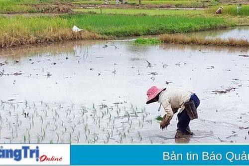 Hiệu quả từ các chương trình, chính sách dân tộc ở Hướng Hóa