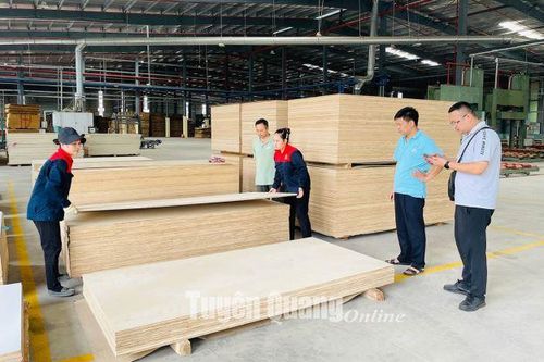 Giải pháp tăng thu ngân sách tại Chi cục Hải quan Tuyên Quang