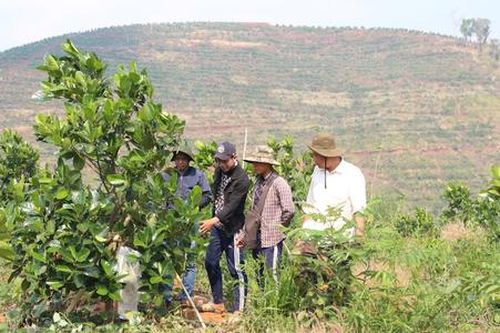 Bà con dân tộc thiểu số theo đạo Công giáo ở Đắk Hà chung sức, chung lòng xây dựng nông thôn mới