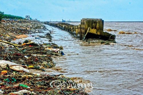 Cần cơ chế đặc thù trong phòng, chống thiên tai