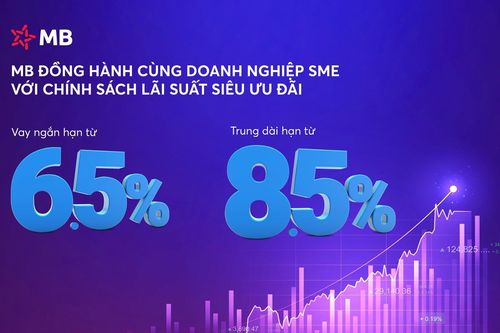Tăng trưởng tín dụng ổn định và an toàn với chính sách lãi suất ưu đãi của MB