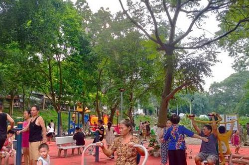 Lạ kỳ 'công viên rừng' giữa lòng Thủ đô