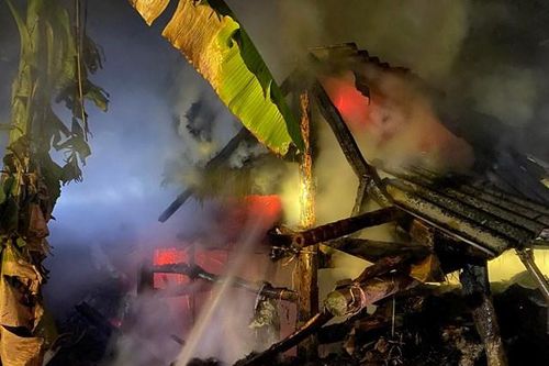 Giết bò nhà người tình vì ghen tuông