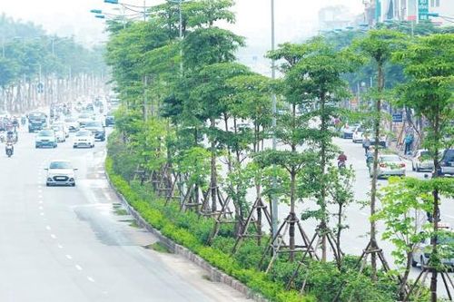 Chuẩn bị xét xử vụ án thứ 4 liên quan đến cựu Chủ tịch UBND TP Hà Nội Nguyễn Đức Chung
