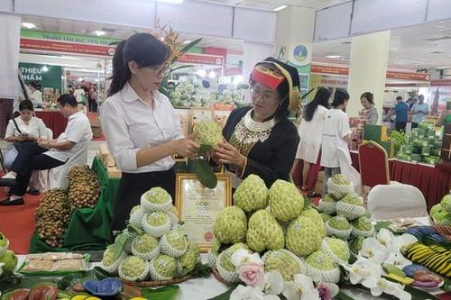 Độc đáo phiên chợ nông sản, đặc sản vùng miền tại thủ đô Hà Nội