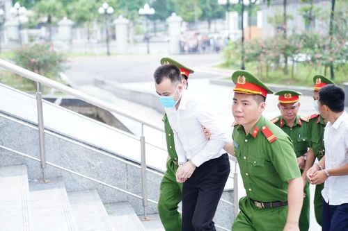 15 bị cáo hầu tòa vụ 'thổi giá' cây xanh