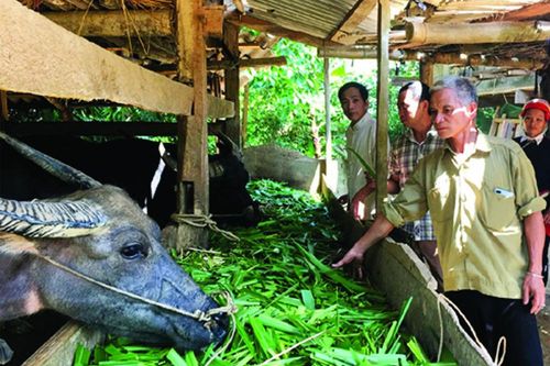 Tạo không khí thi đua sôi nổi, đoàn kết