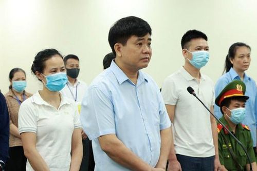 Vụ nâng khống giá cây xanh: Bị cáo Nguyễn Đức Chung khai gì?