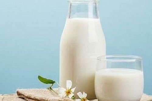 Uống sữa tươi như thế nào mới an toàn cho sức khỏe?