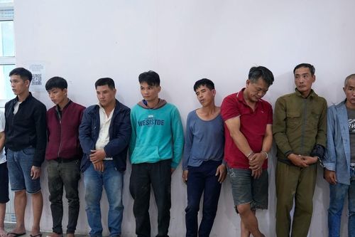 Bà Rịa-Vũng Tàu: Triệt phá băng nhóm trộm chó chuyên nghiệp