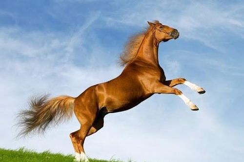 Qua Rằm tháng 7 âm: 3 tuổi may mắn bạt ngàn, thu vàng hút bạc