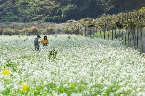 Các tour du lịch ngắn ngày phù hợp cho dịp nghỉ lễ 2/9