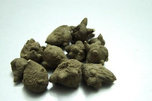 Người đàn ông suýt chết sau ăn canh củ ấu tàu