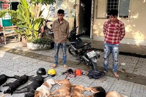 Bắt băng trộm chó ném ớt bột vào công an