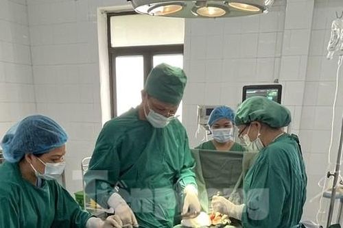 Đứng xem bò chọi nhau, người đàn ông ở Cao Bằng bị húc thủng bụng