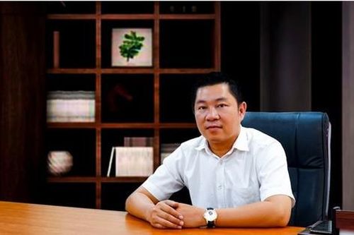 Chủ tịch công ty LDG bị xử phạt hơn nửa tỷ đồng