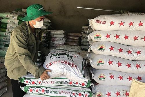 Giá phân bón hôm nay 25/8: Ure/DAP kỳ hạn tháng 8 không đổi