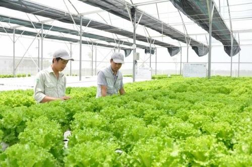 Australia tài trợ cho các dự án đổi mới sáng tạo phát triển nông nghiệp công nghệ cao