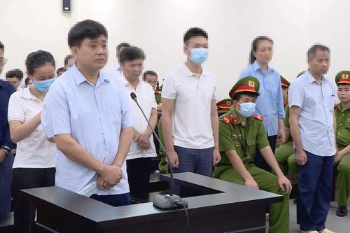 Cựu Chủ tịch Nguyễn Đức Chung nói gì về việc 'thổi giá' cây xanh ở Hà Nội?