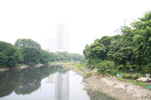 Bỏ quên những không gian xanh?