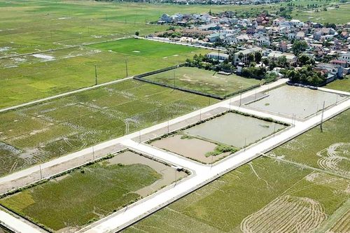 Phê bình, rút kinh nghiệm với kế toán xã ở Nghệ An đấu trúng 23 lô đất bị hủy