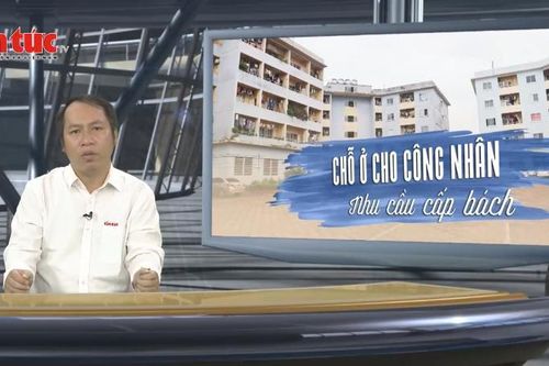 Tin tức TV: Chỗ ở cho công nhân - Nhu cầu cấp bách