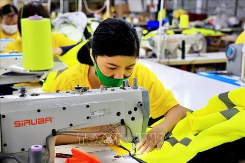 Hiến kế hồi phục 'sức khỏe' cho doanh nghiệp