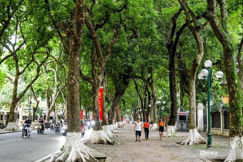 Đường Phan Đình Phùng vắng người chụp ảnh đầu thu