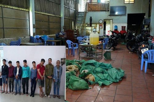 Bà Rịa -Vũng Tàu: Bắt nhóm trộm chó chuyên nghiệp