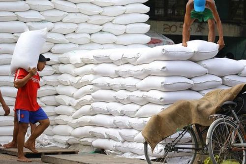 Giá gạo tiếp tục tăng, Myanmar có thể hạn chế xuất khẩu gạo