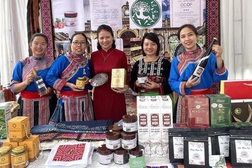 Kết nối, giới thiệu mô hình phụ nữ phát triển kinh tế hòa nhập cộng đồng cho nạn nhân mua bán người tại Lào Cai
