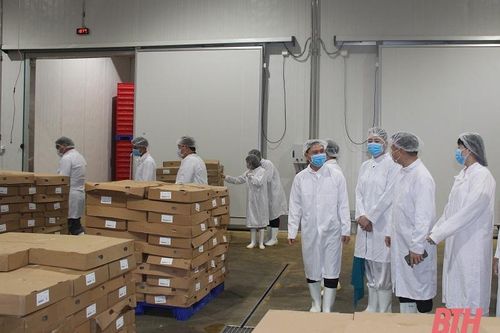 Hiệp hội các nhà nhập khẩu Hàn Quốc khảo sát thực tế tại một số doanh nghiệp