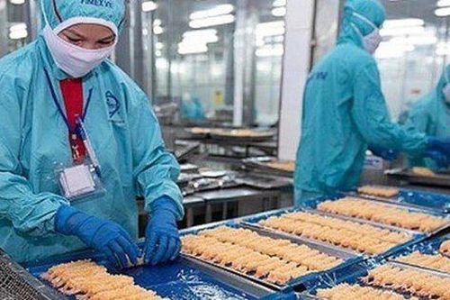 SSI Research: Biên lãi gộp của Sao Ta cải thiện hơn về cuối năm, lợi nhuận năm nay có thể vượt qua năm ngoái