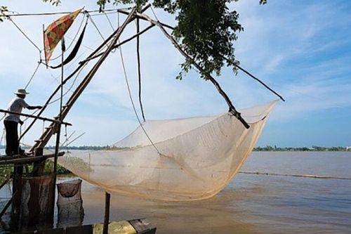 Cất vó đầu mùa