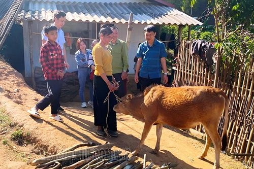 Hỗ trợ 'cần câu' giúp người nghèo vươn lên