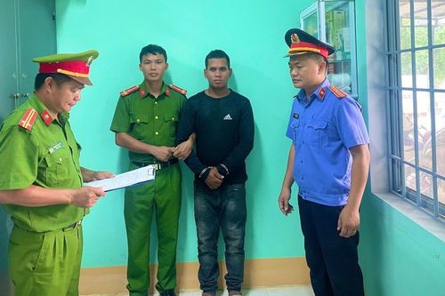 Đak Pơ: Bắt tạm giam một bị can về tội 'Vi phạm quy định về khai thác, bảo vệ rừng và lâm sản'