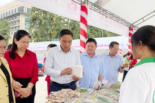 Đồng chí Phó Bí thư Tỉnh ủy Hoàng Giang tham quan gian hàng Hội chợ hỗ trợ sinh kế cho hội viên phụ nữ