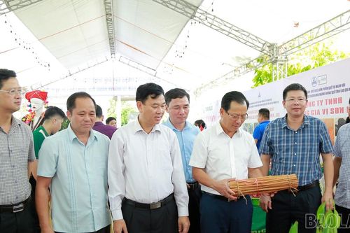 Phát triển bền vững ngành hàng quế