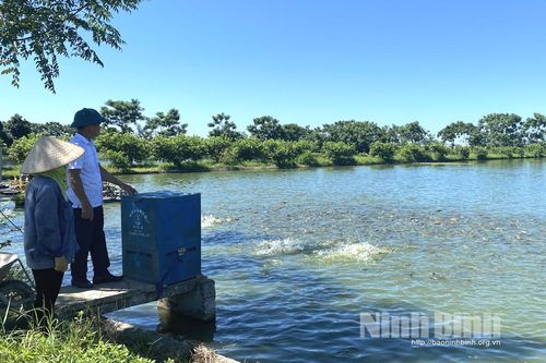 Đảng bộ xã Gia Vân tập trung lãnh đạo phát triển kinh tế, nâng cao thu nhập cho người dân